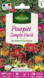 Pourpier Simple Varié